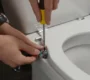 Tighten a Loose Toilet Seat